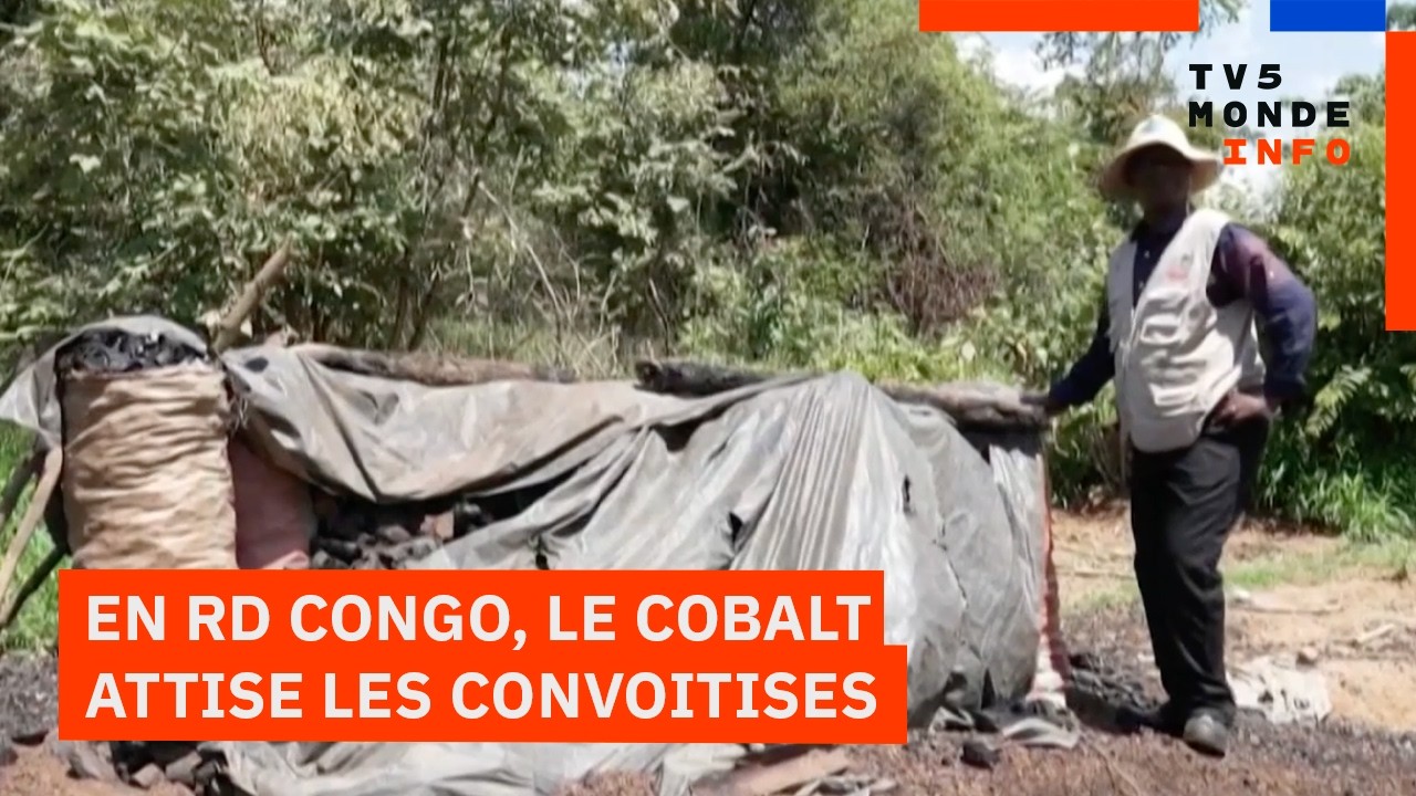 RD Congo/Haut-Katanga : Les communautés s’opposent aux entreprises minières