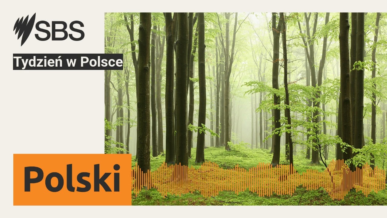 Tydzień w Polsce | SBS Polish - SBS po polsku