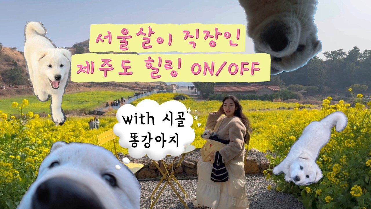 OFF DAY in Jeju  : 서울과 제주 사이