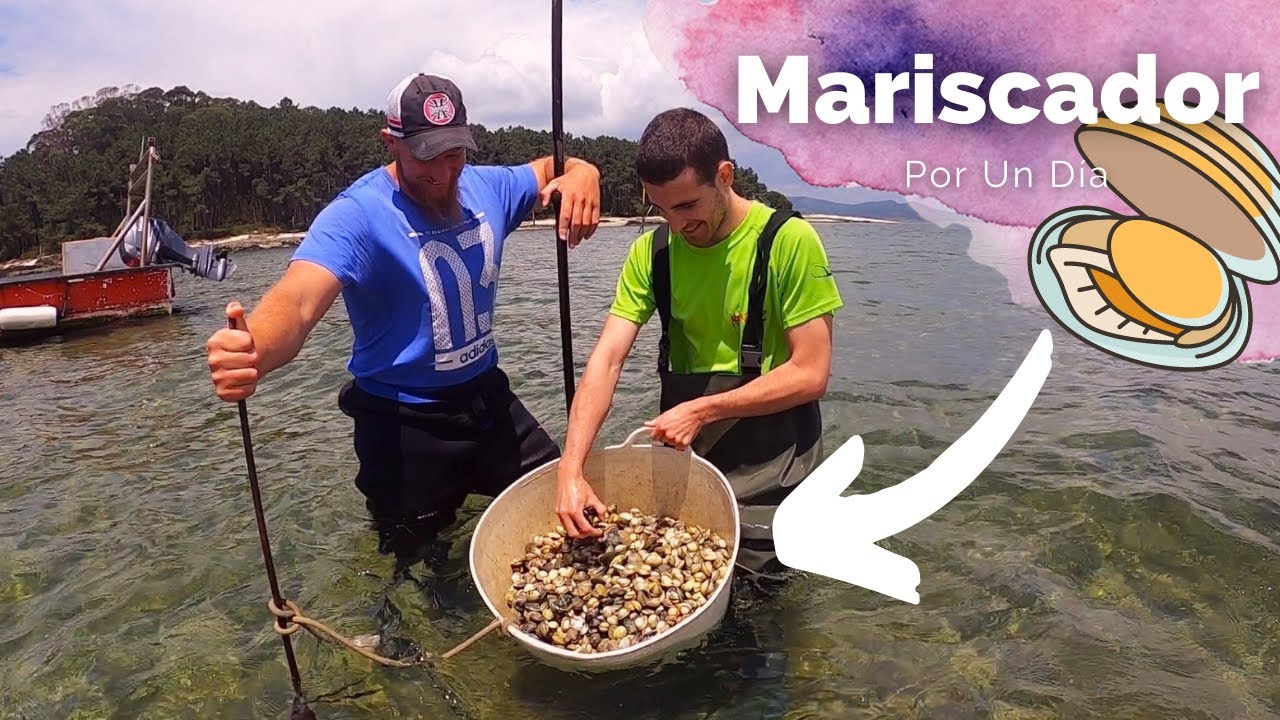 ✅UN DÍA COMO MARISCADOR 🔱PARQUISTAS DE CARRIL