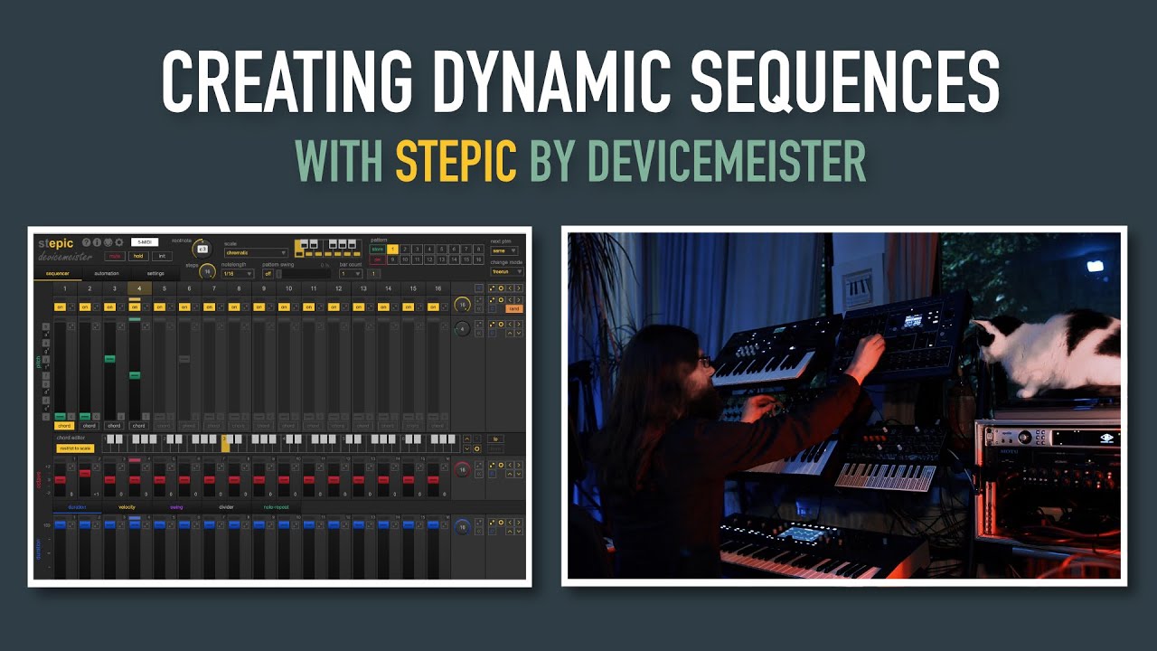 Creating Dynamic Sequences with Stepic