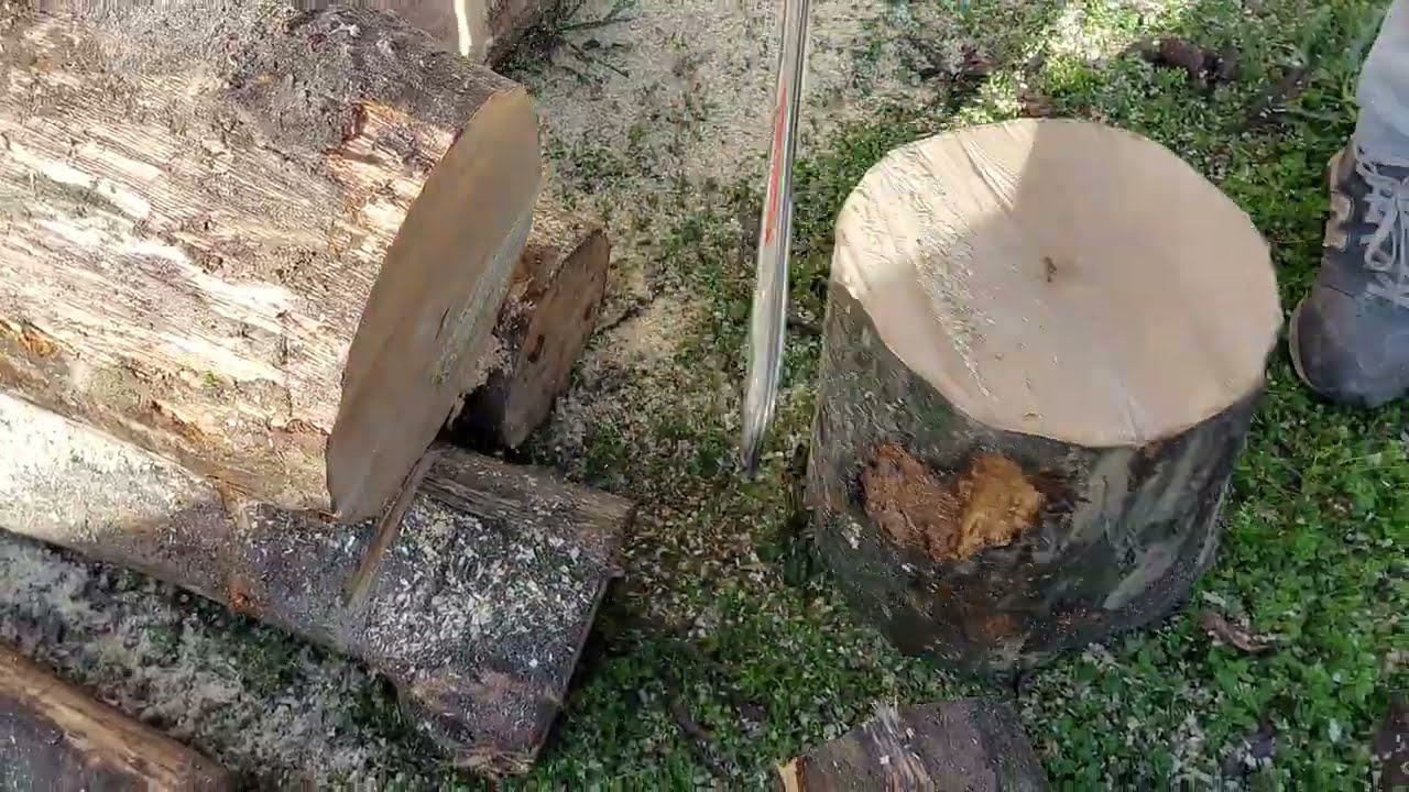 #Makita #Chainsaw in Dirty Wood part 3