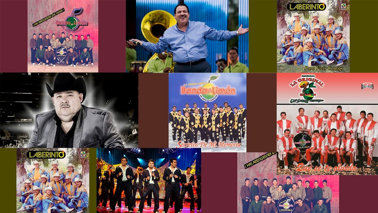 Mix camino a casa con Julio Preciado, Arrolladora, Recodo, Original Banda Limón, El Coyote