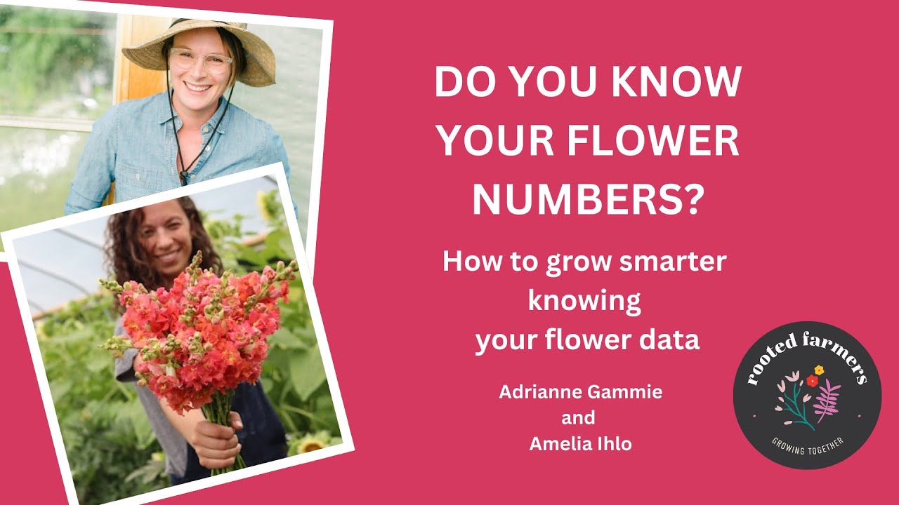 How To Grow Flowers Smarter Using Your Flower Data