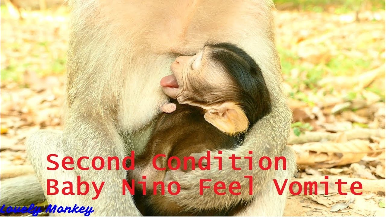 Second Condition! Nino Still Cry Loudly & Start Tiredness. Baby Feel Vomiting & Sleepiness.