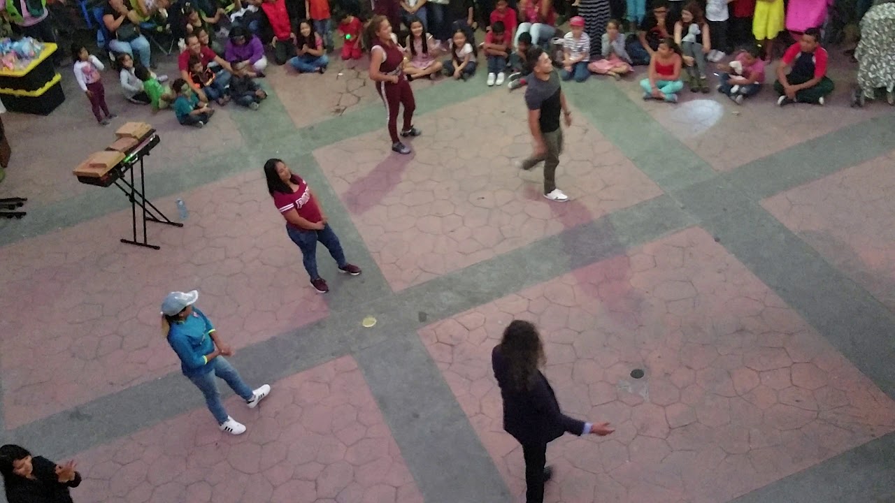 Mimo Tijuana 1