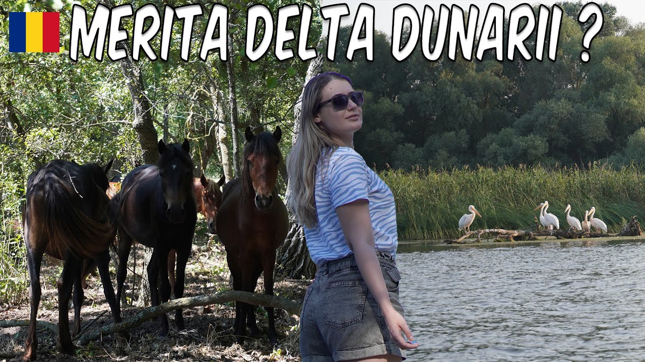 Cat ne-a costat un WEEKEND in DELTA DUNARII si ce AM PRIMIT de banii acestia!