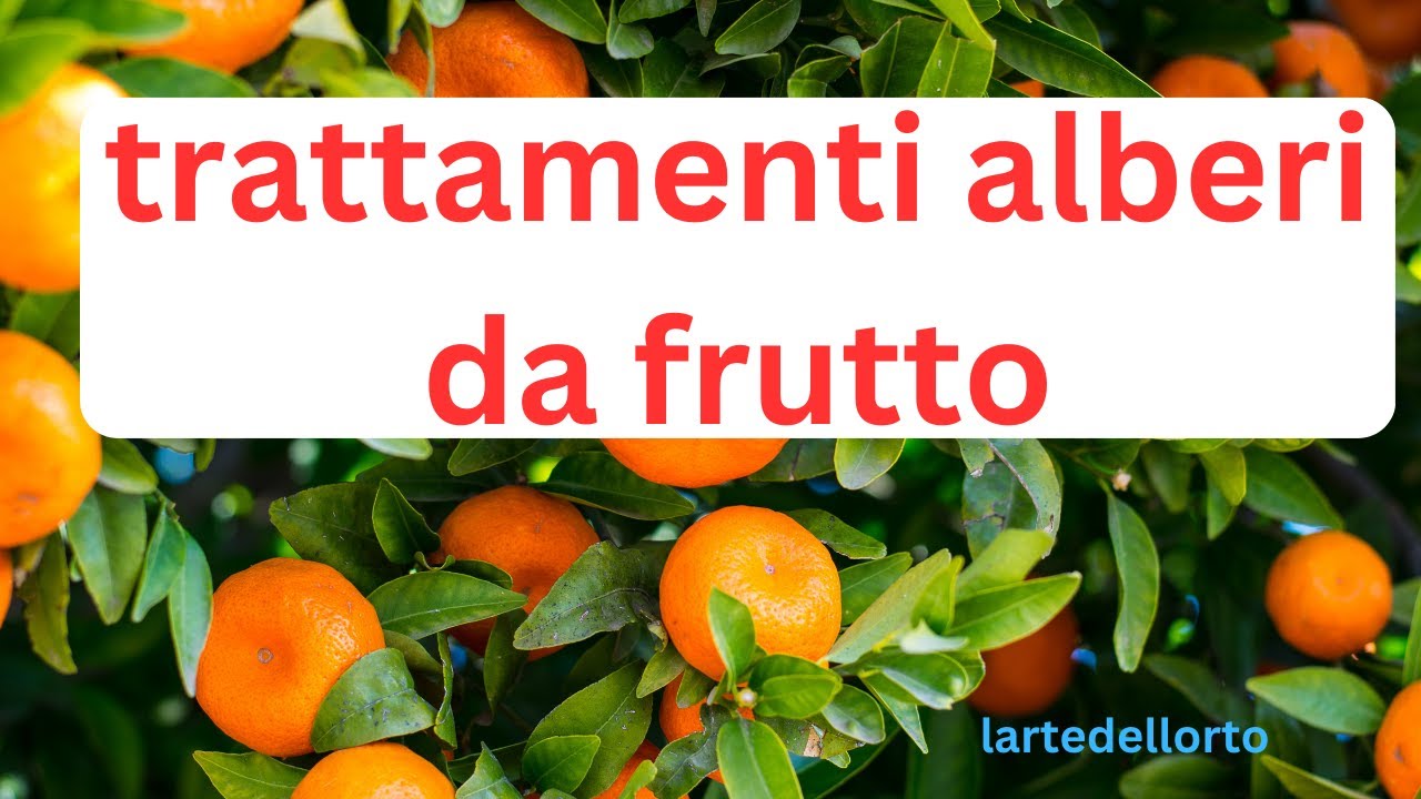 Come proteggere i frutti dalla malattie e quando dare i trattamenti