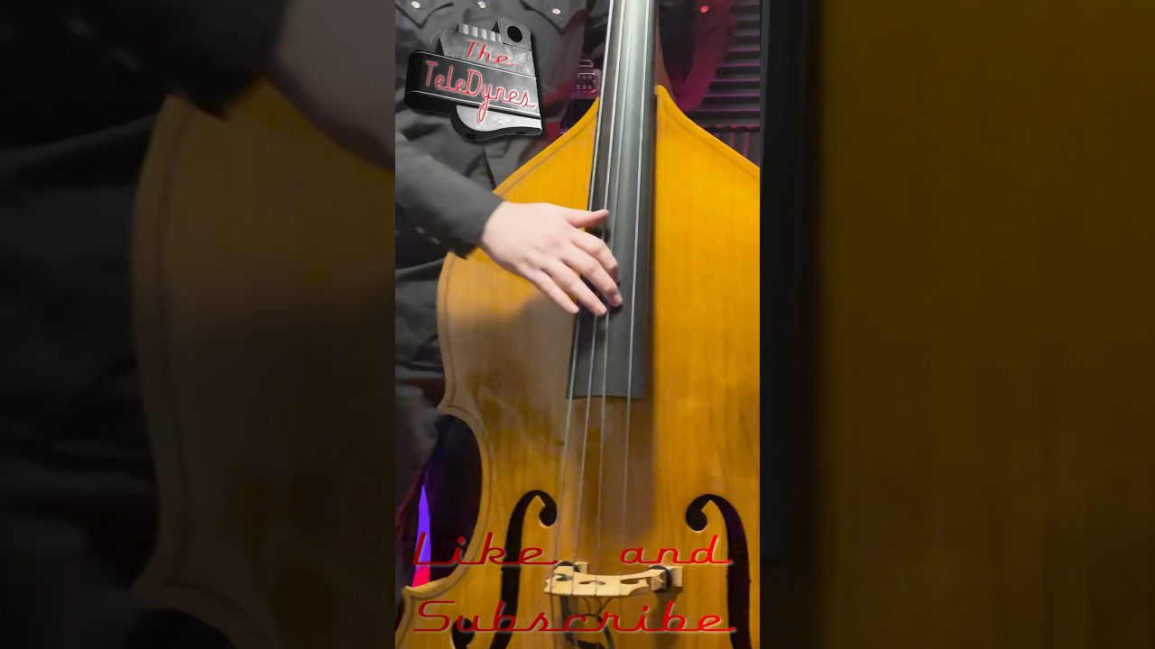 4 Basic Slap Techniques #rockabilly #basslesson #slapbass #uprightbass #shorts #youtubeshorts