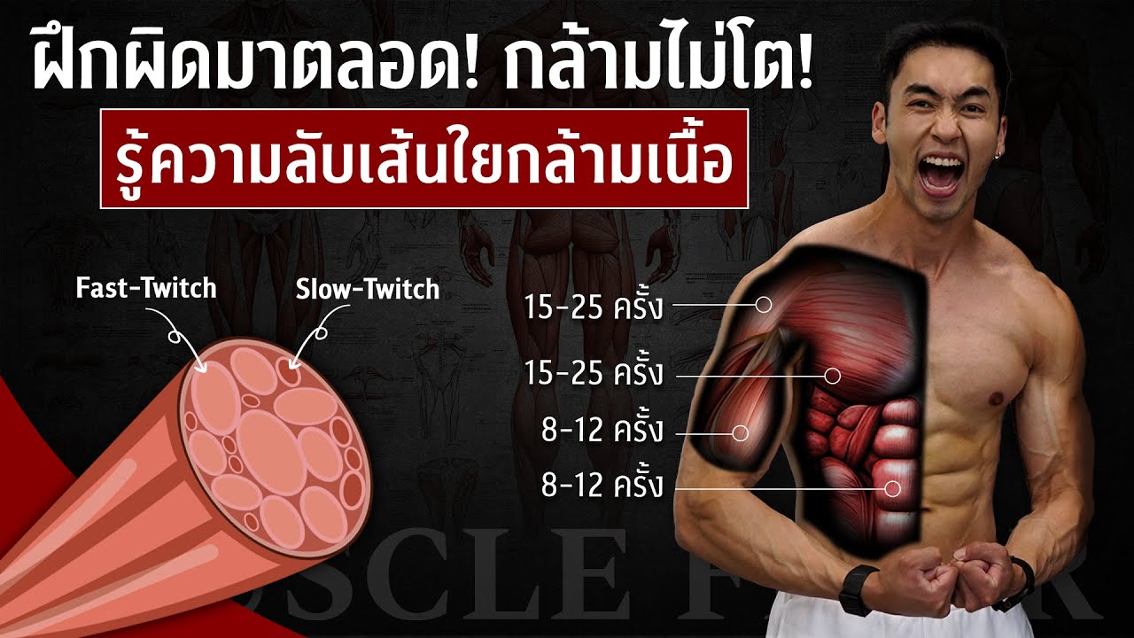 ทำไมกล้ามคุณไม่โต? เพราะคุณฝึกผิดเส้นใยกล้ามเนื้อ!