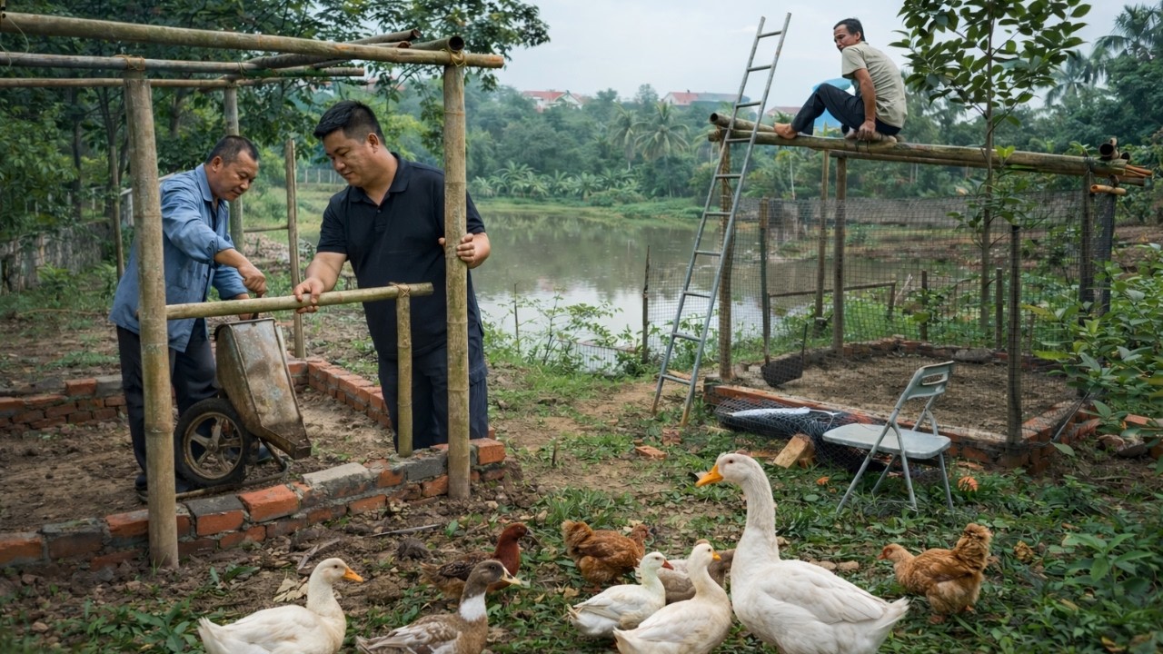 CEO’s New Life on the Farm | DIY Chicken Coop & Sustainable Living