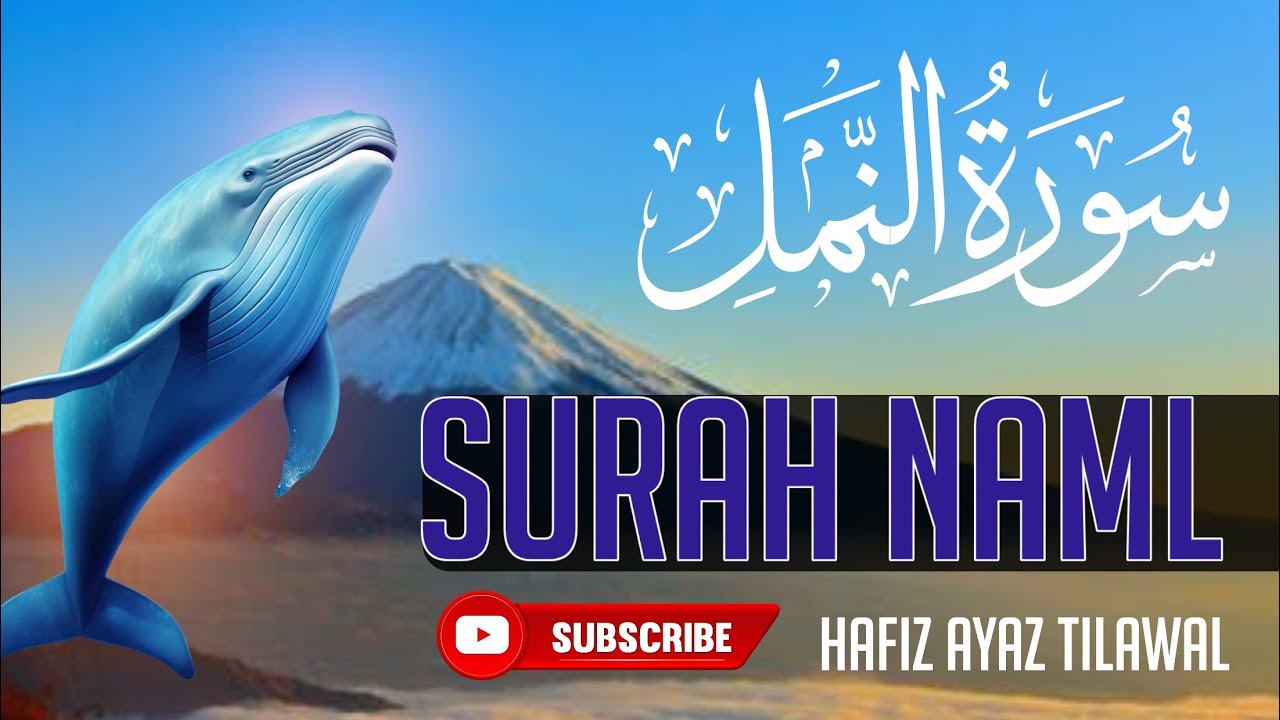 Surah An-Naml | Beautiful Quran Recitation | سورة النمل #tilawat #quran #quranictranslation