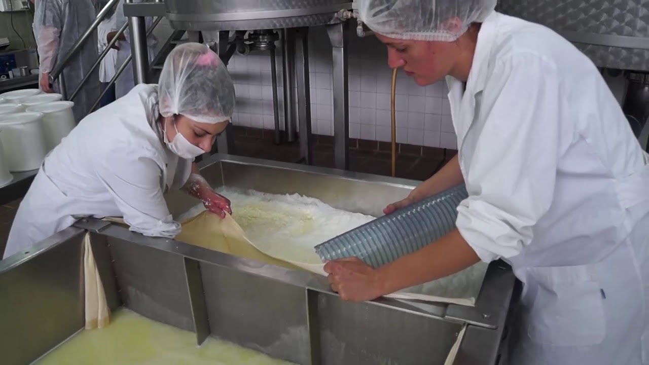 Fabricación de queso cremoso en la Universidad Nacional de Luján