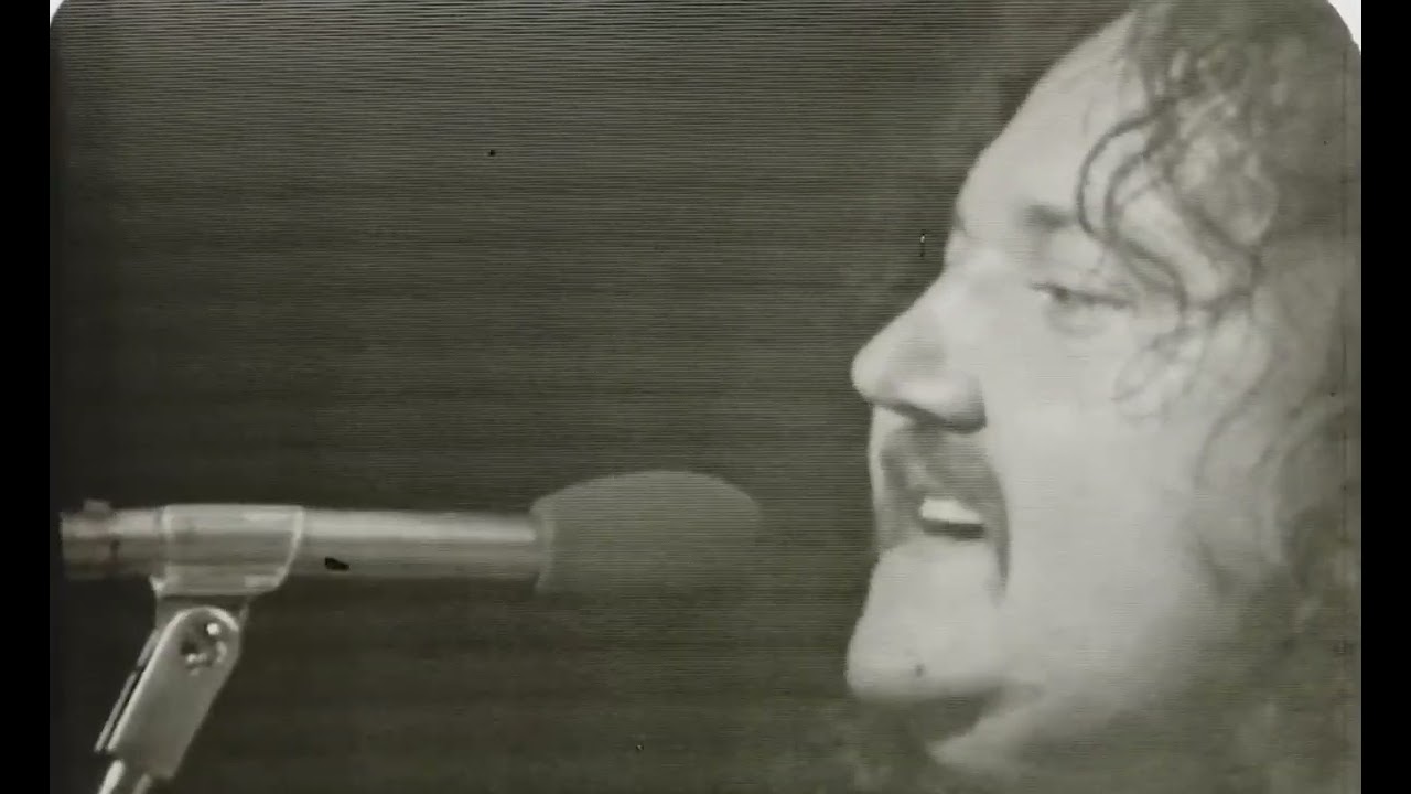 Radics Béla  - Tűzkerék - Királyi madár