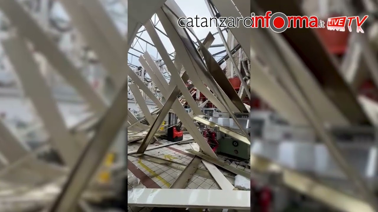 Danni torrefazione Guglielmo