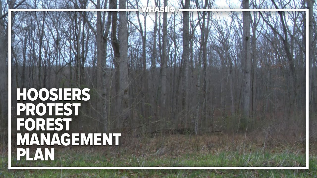 Indiana community calls to change Hoosier National Forest restoration plans