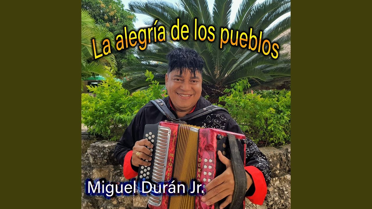 Auxiliar de parranda
