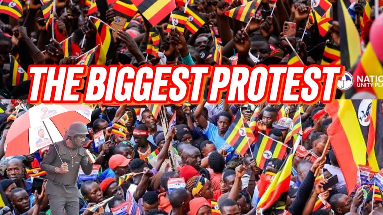 AP STEVEN LIVE.THE BIGGEST  PROTEST TOMORROW  #livestream