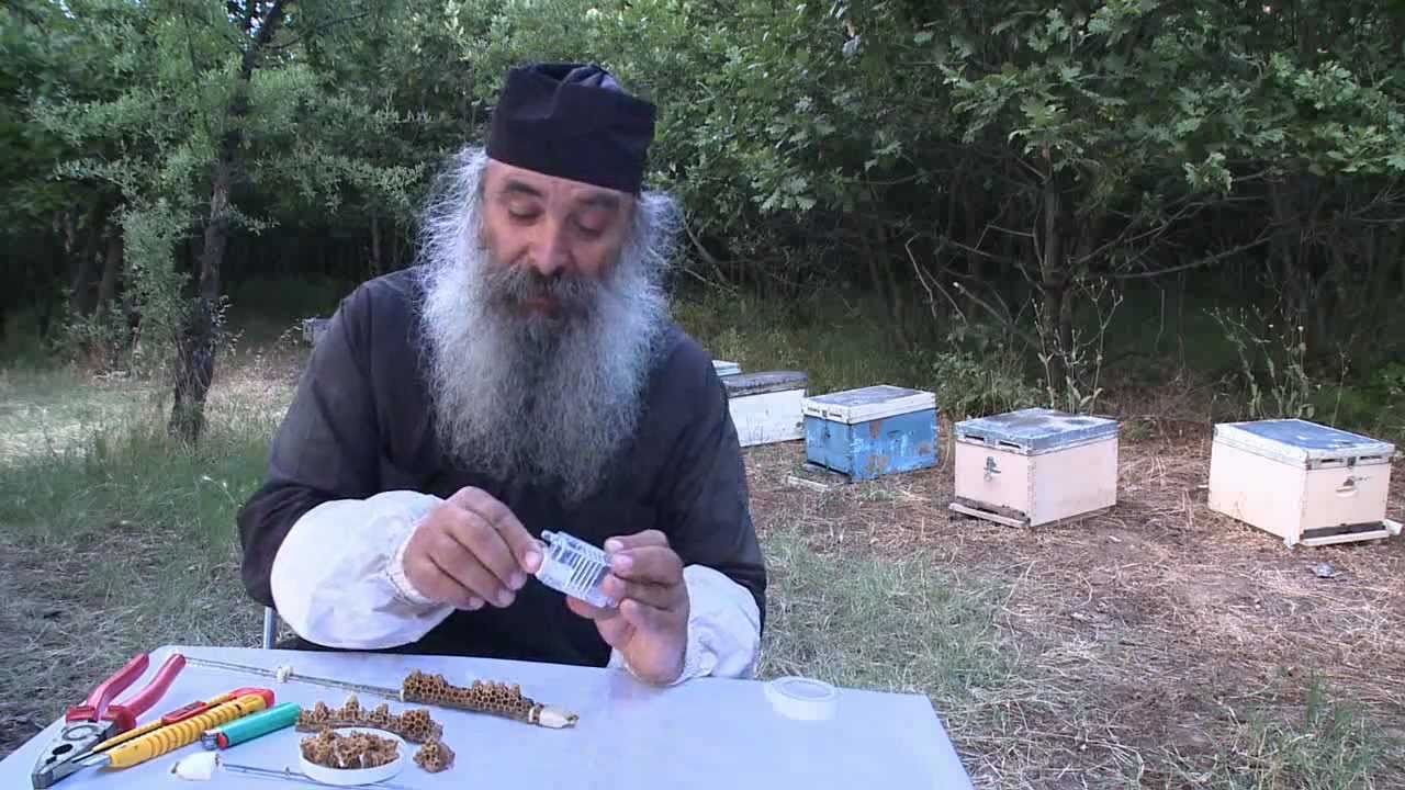 σύστημα ΑΡΙΣΤΕΑΣ : η εκτροφή βασιλισσών.