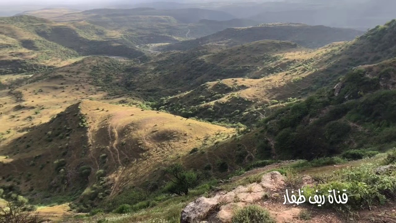 دبرارت اخورف اظفول هجسك بش ظهر | لأبوقيس المعشني