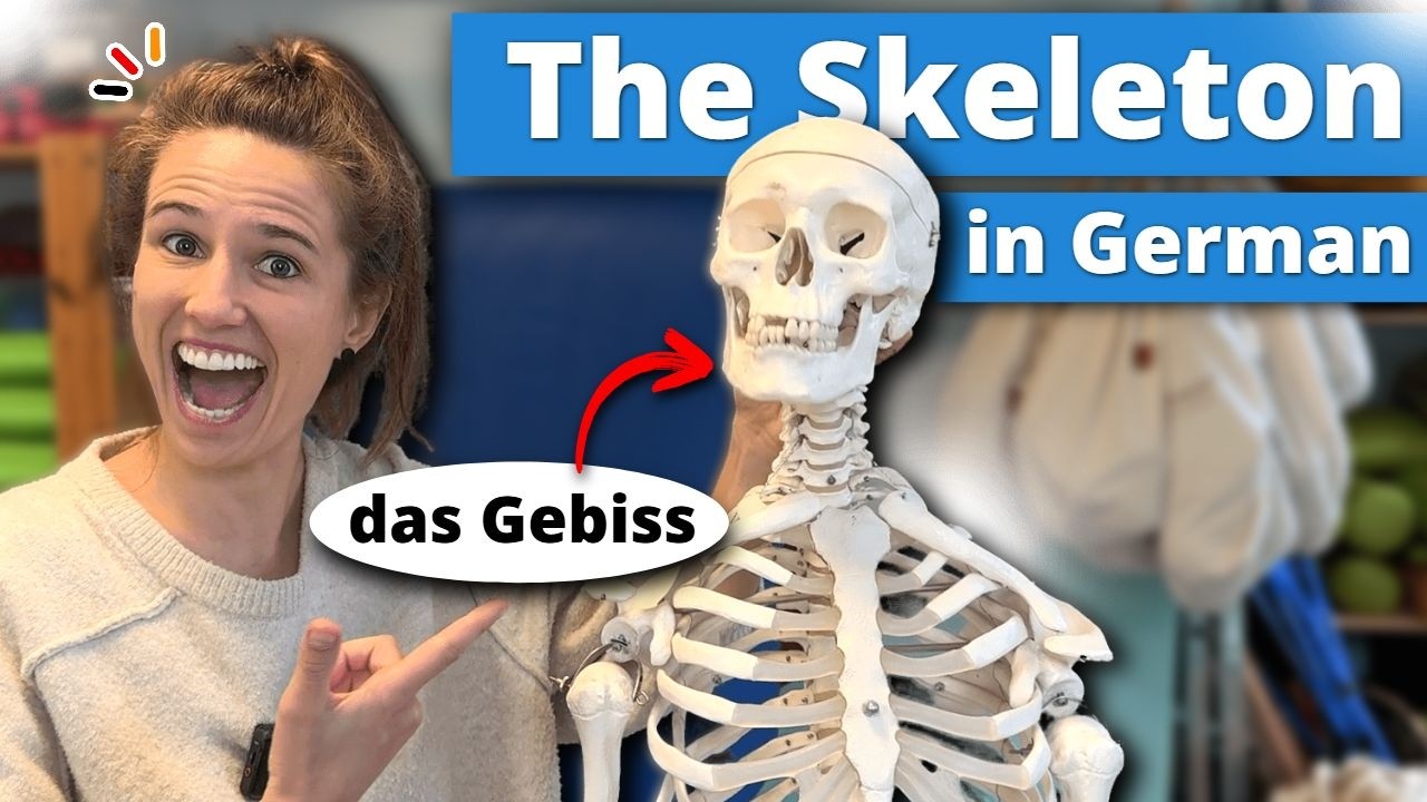 Learn German Body Parts – Skeleton Edition!