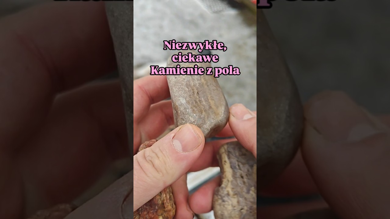 Niezwykłe kamienie z pola!#pasja #geologia #rocks #stones #stonecutting