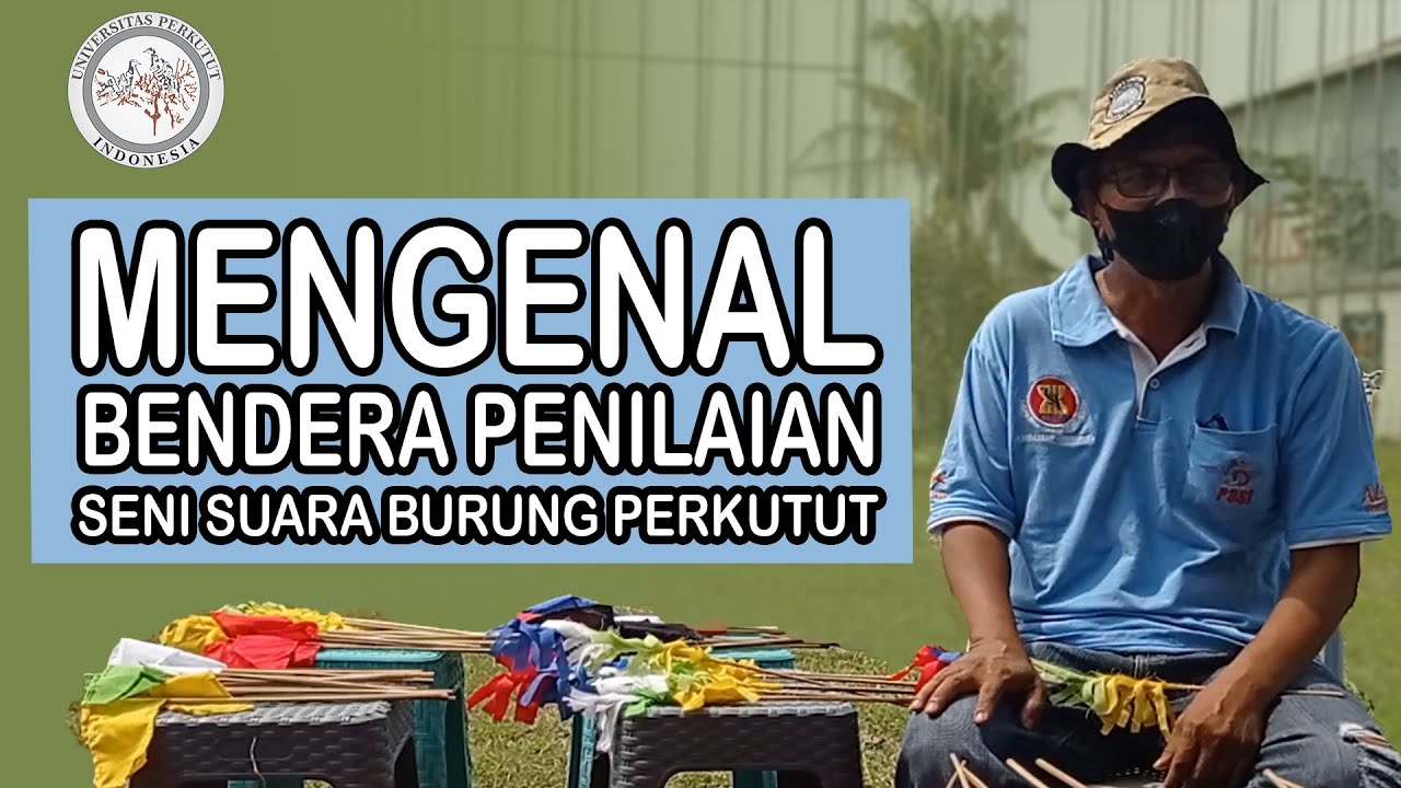 Mengenal Bendera Penilaian Pada Lomba Seni Suara Burung Perkutut P3SI