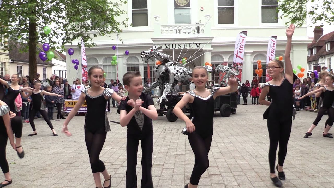 Basingstoke Festival programme launch 2014 - 6