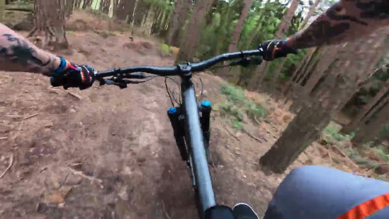 Rushmere Shark Fin Line | Matt Parry