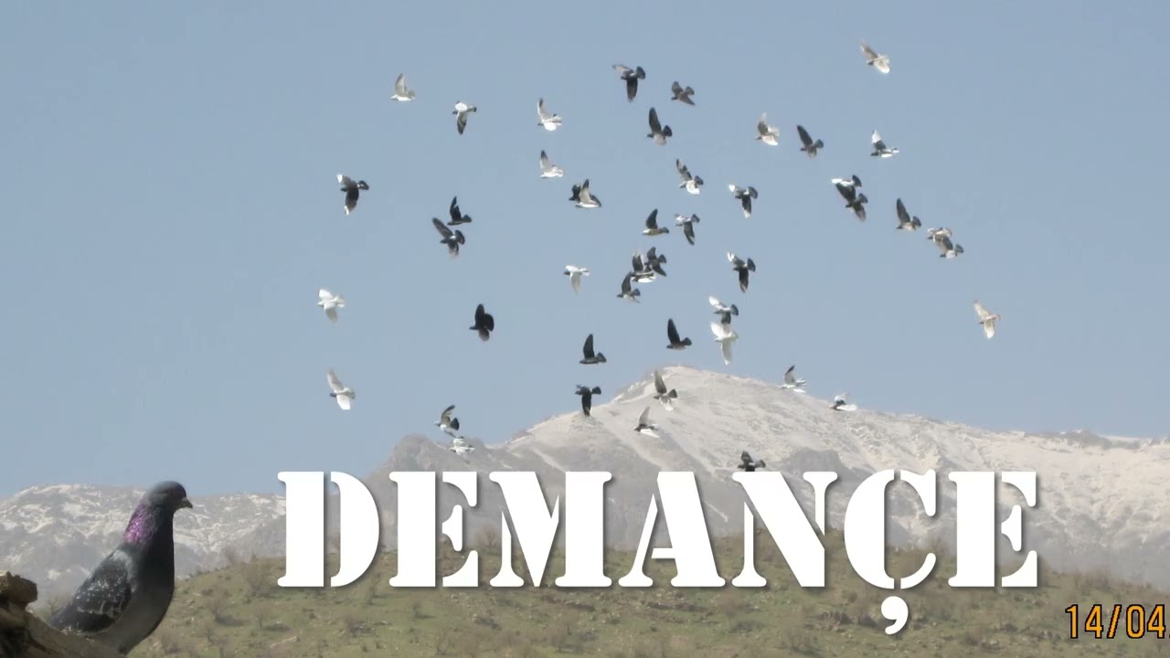 Demançe - çîrok - Brahîm Xort - Rêşad Sorgul رێشاد سۆرگول