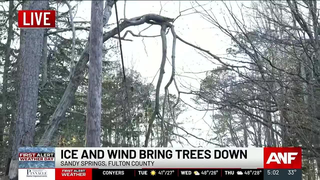 Severe winter weather brings down trees in Sandy Springs