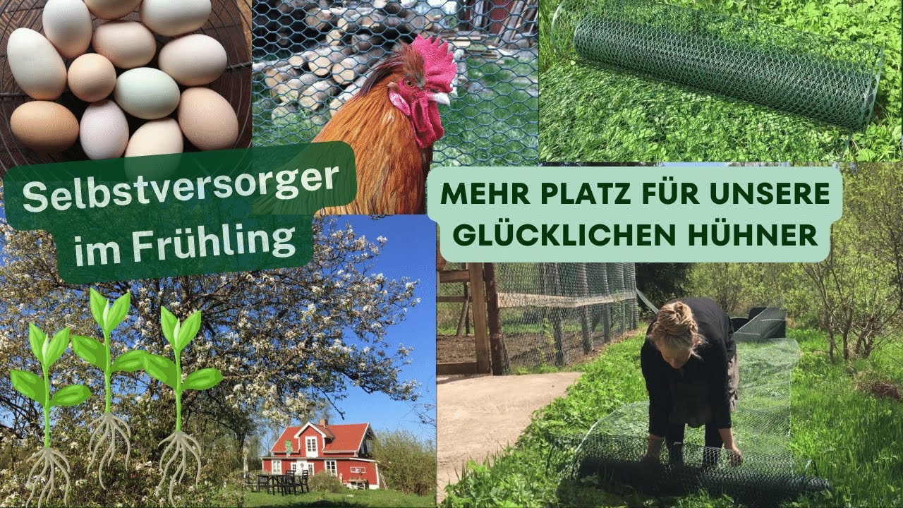 Selbstversorger im Frühling / Ein neuer Freilauf für unsere glücklichen Hühner