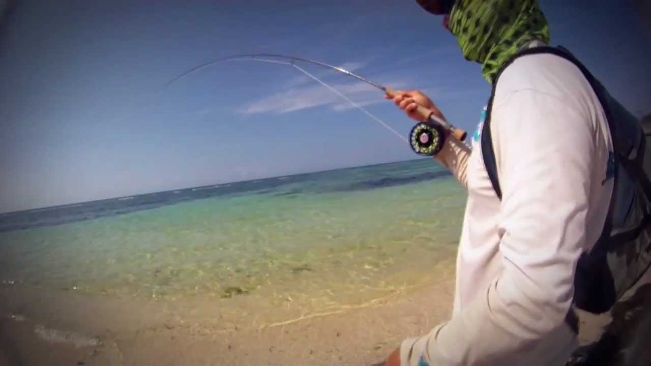 Bonefish on the fly: Let It Roll
