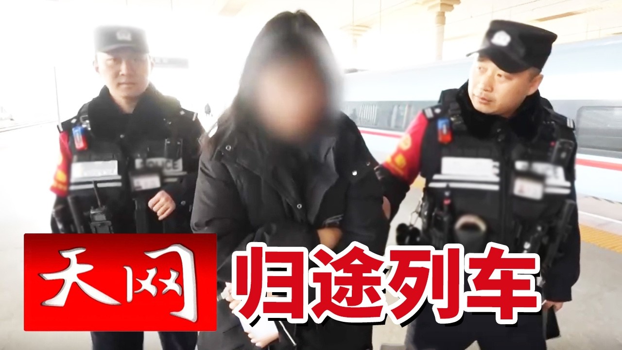 《天网》未成年女孩独自“网恋奔现” 醉酒顾客晕倒在站台 南京南站的“惊”与“险”该如何破局？20260310