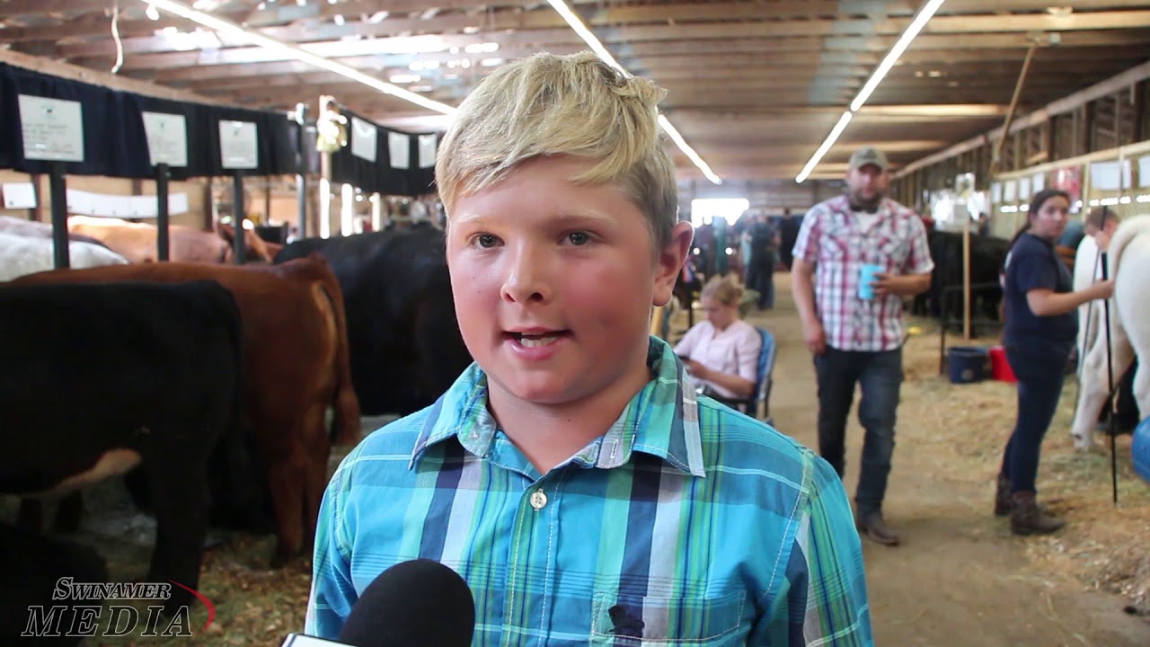 Hants County Exhibition Beef Show Report #1