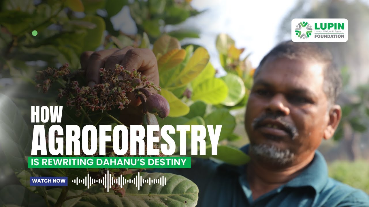 How Agroforestry is Rewriting Dahanu’s Destiny | Audio Story