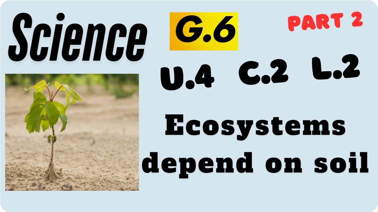 Science | Grade 6 |Ecosystems depend on soil  | Unit 4 Concept 2 Lesson 2 | part 2/2 |2nd termساينس