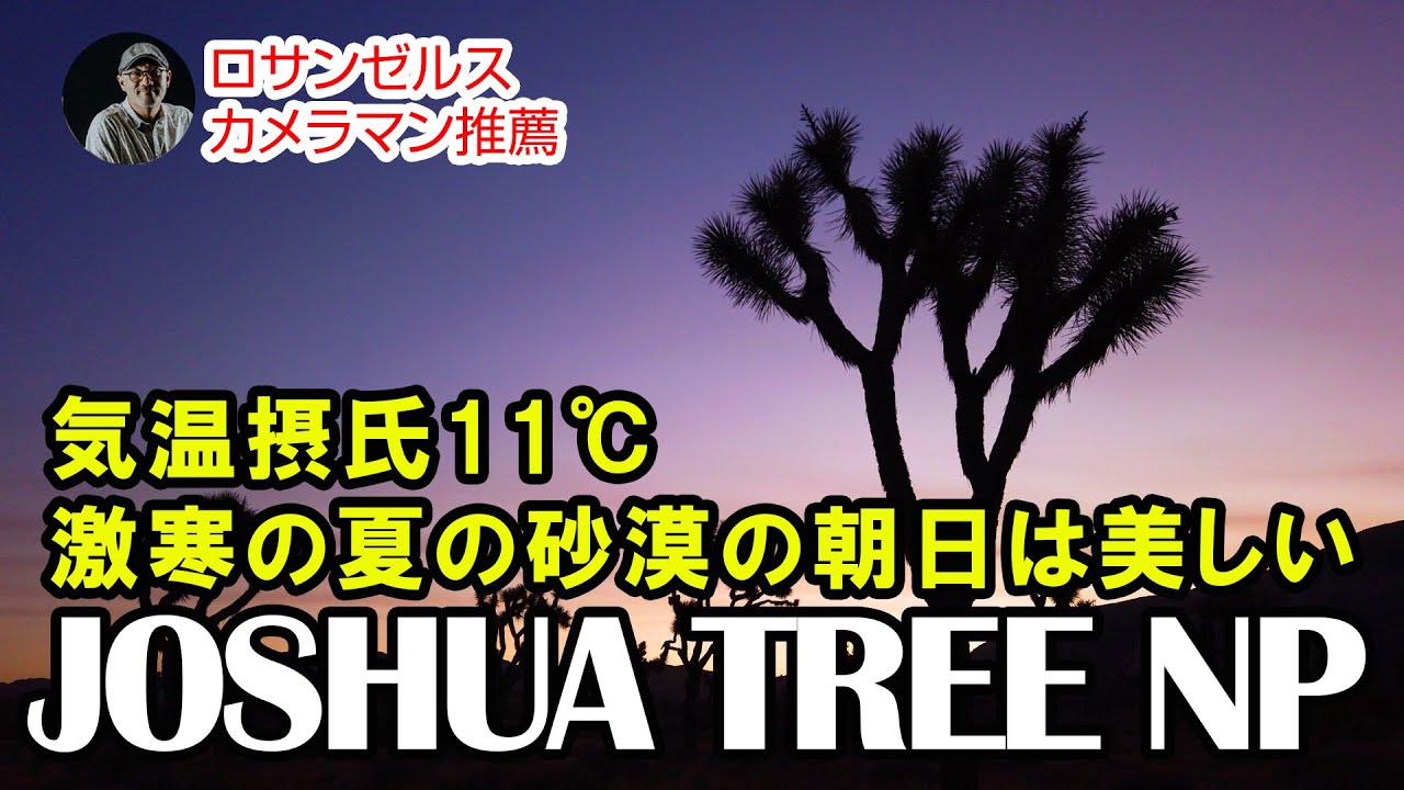 誰もいないジョシュアツリー。砂漠で見た朝日の究極美。ロサンゼルス観光に来たら寄るべき国立公園