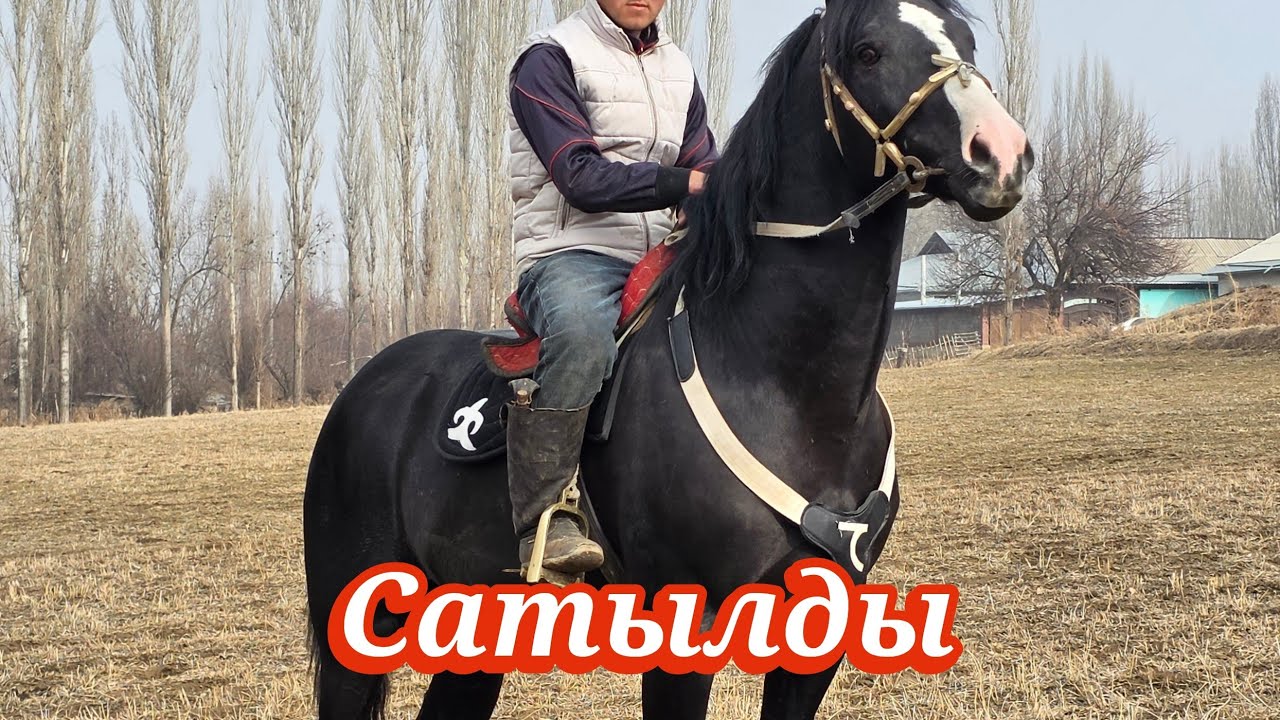 Сатылды АДИДАс