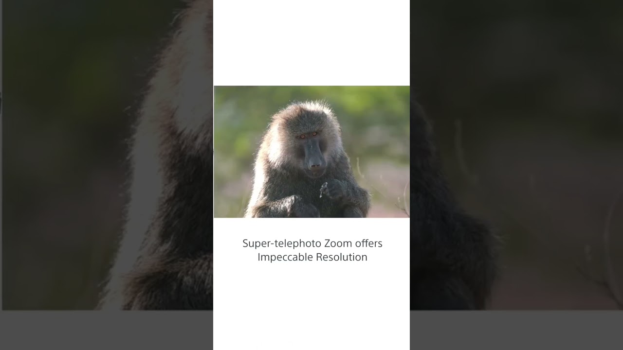 SONY SEL200600G TELEPHOTO ZOOM LENS #SHORTS #ELECTRONIC #aplovers