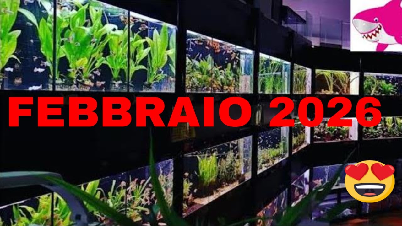 SUPER ARRIVI pesci per acquario FEBBRAIO 2026 By Tropicalmania