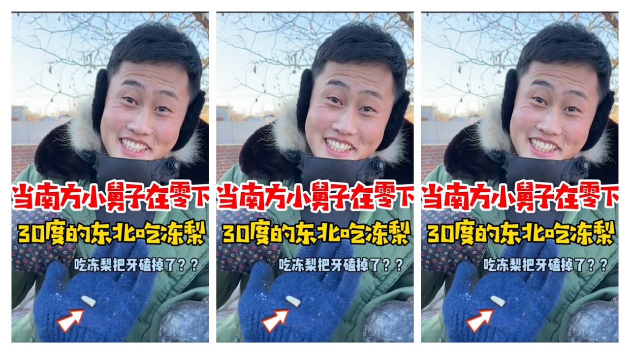 东北大冻梨，吃的他只着迷南北差异 冻梨