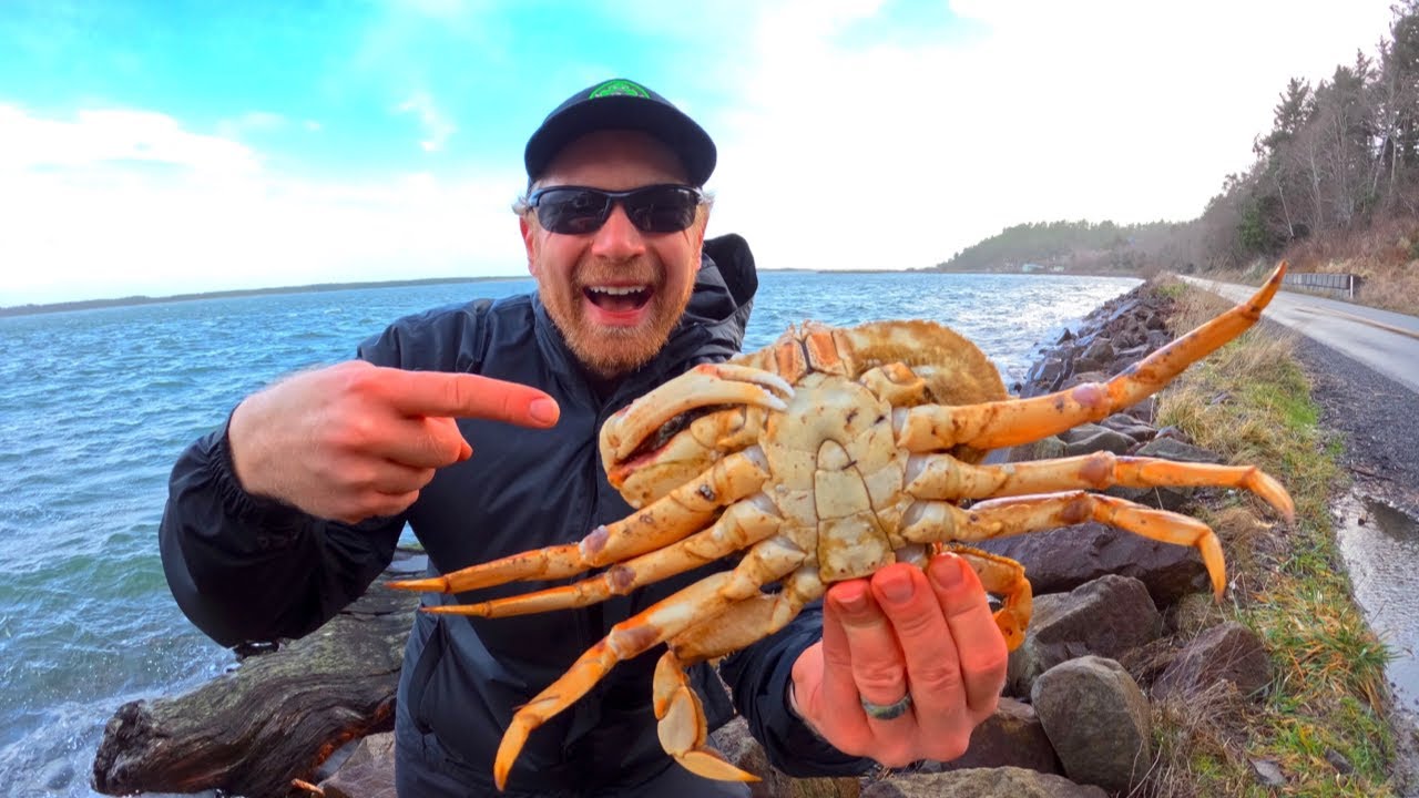 Winter Shore Crabbing (Multi-Crab Species CATCH & COOK)