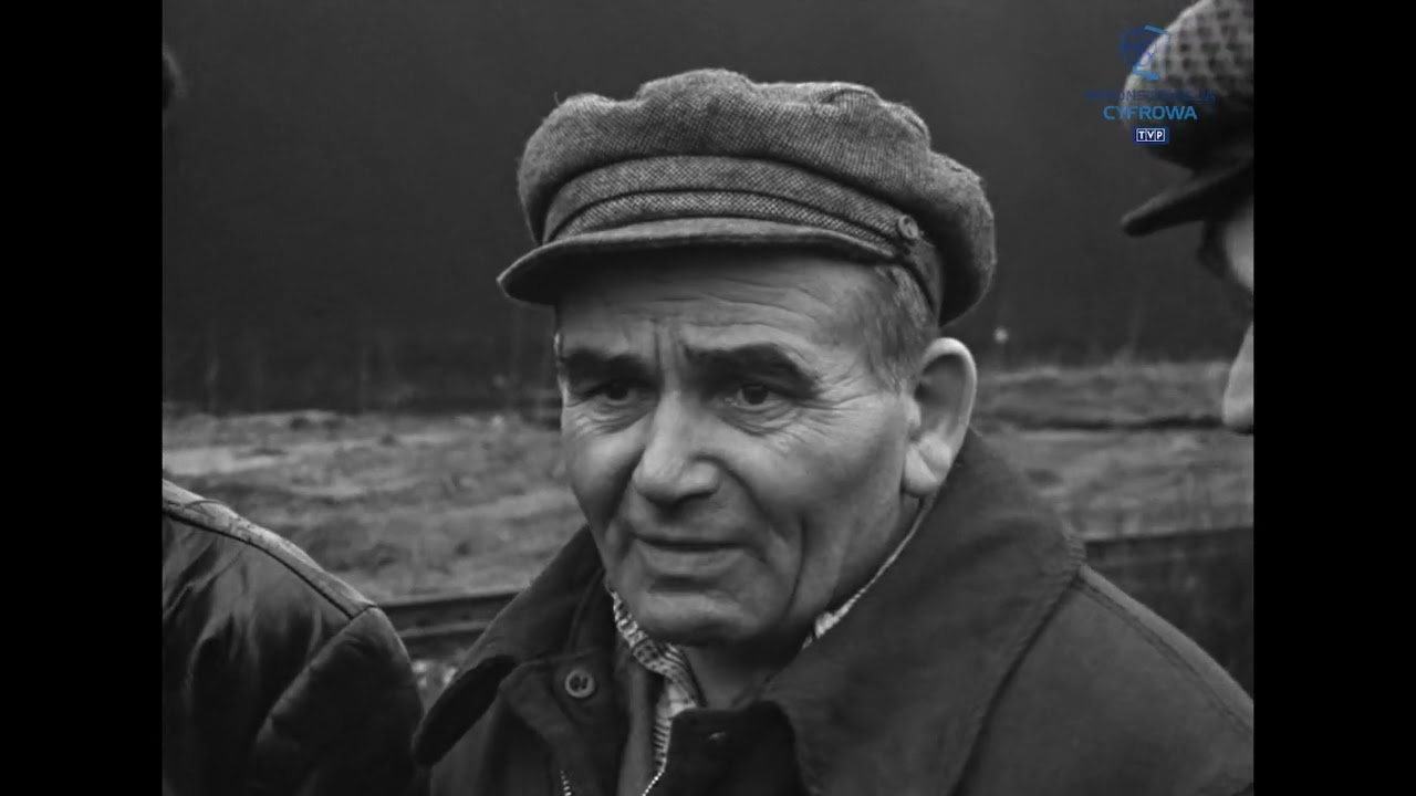 Relacje reporterskie - 