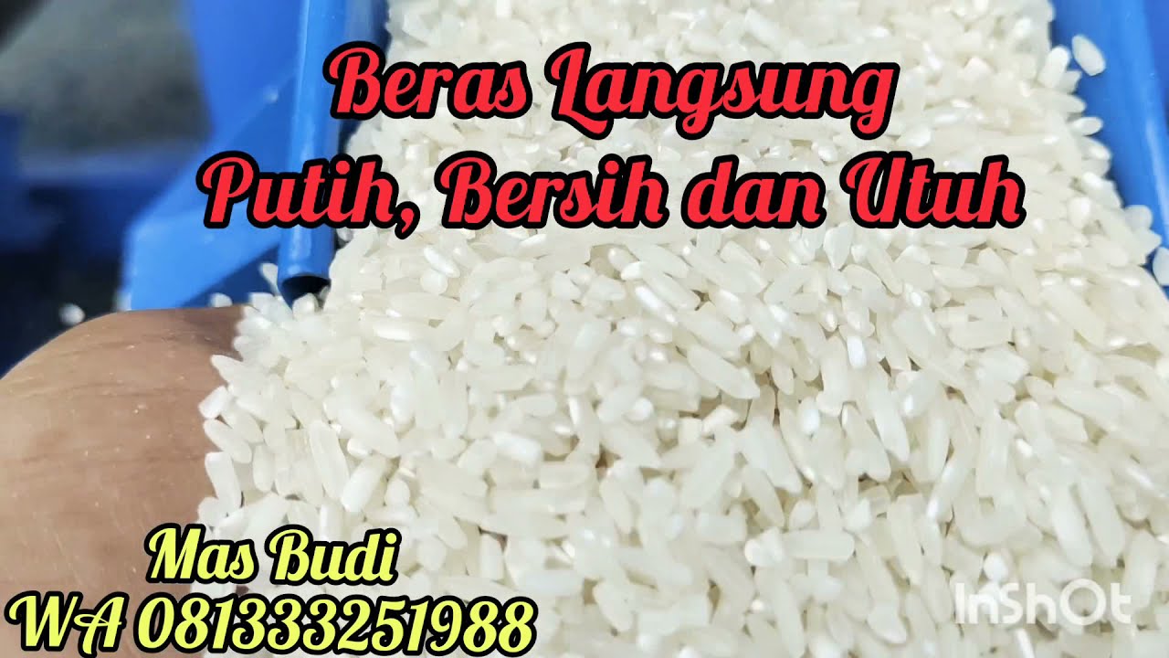 selep padi// penggiling padi// giling padi MT350Solar