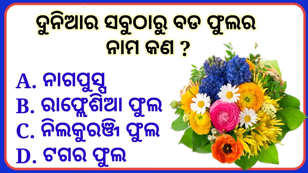 Who is the Owner of Facebook | GK Question || GK In Odia || GK Question and Answer || GK Quiz ||