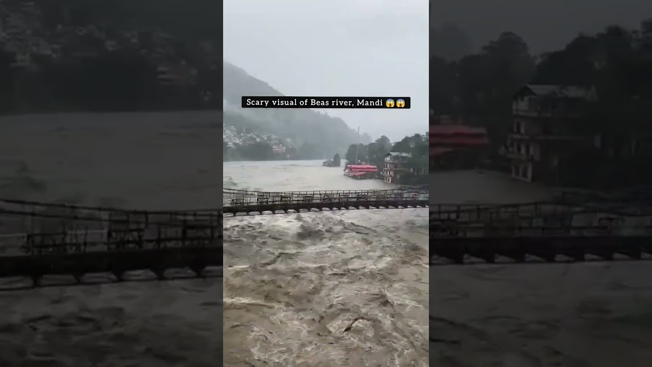Scary visual of Beas river in Mandi, Himachal Pradesh#rain #flood #mandi #himachal #ytshorts #mandir