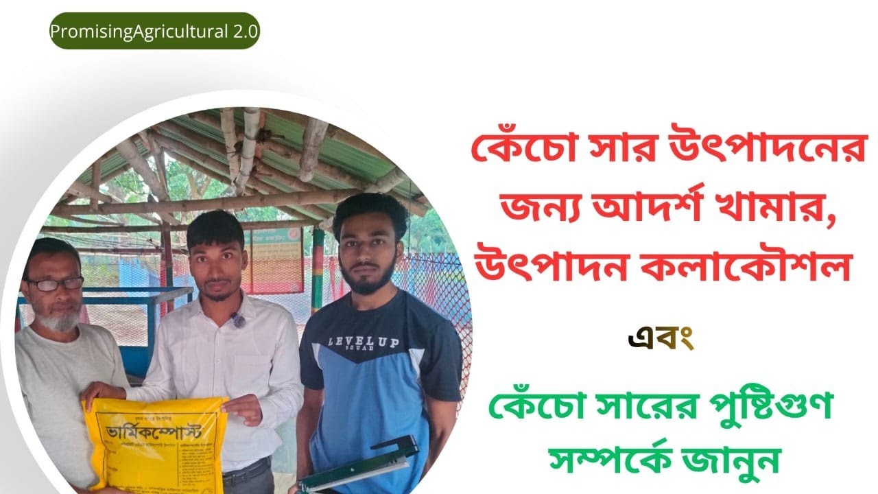 কেঁচো সার উৎপাদনের আদর্শ খামার, উৎপাদন কৌশল / প্রক্রিয়া এবং কেঁচো সারের পুষ্টিগুণ। Vermi-compost 