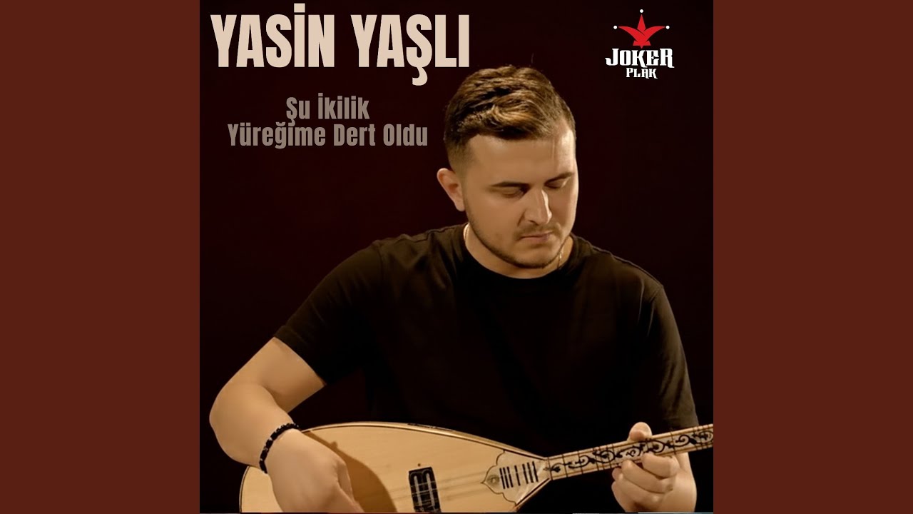 Senin Yazın Kışa Benzer