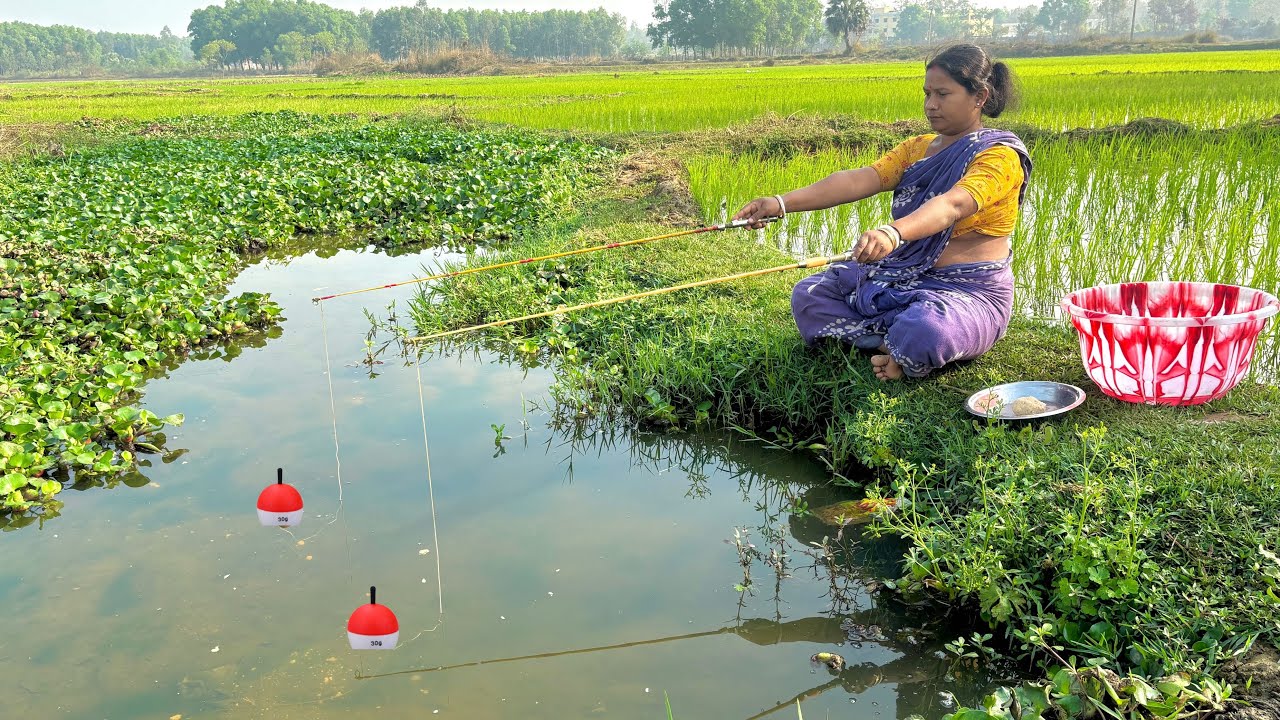 Fishing Video || Amazing lady hook fishing in the village paddy field canal using two fishing rods 